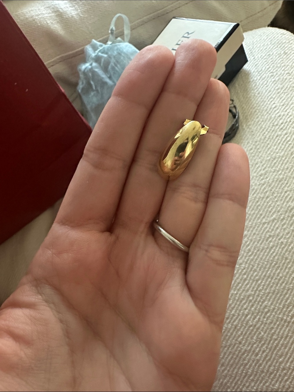 Gold Earrings